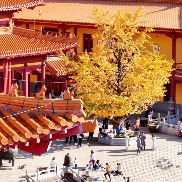 ���Lɳ�Lɳϴ�ĶU�µ��y���ѽ�(j��ng)ȫ�S���@����ץ�o�r(sh��)�gȥ��Ȼ��Ҫ�d���Lɳϴ�ĶU���Lɳ���մ򿨵��Lɳ���Lɳ����